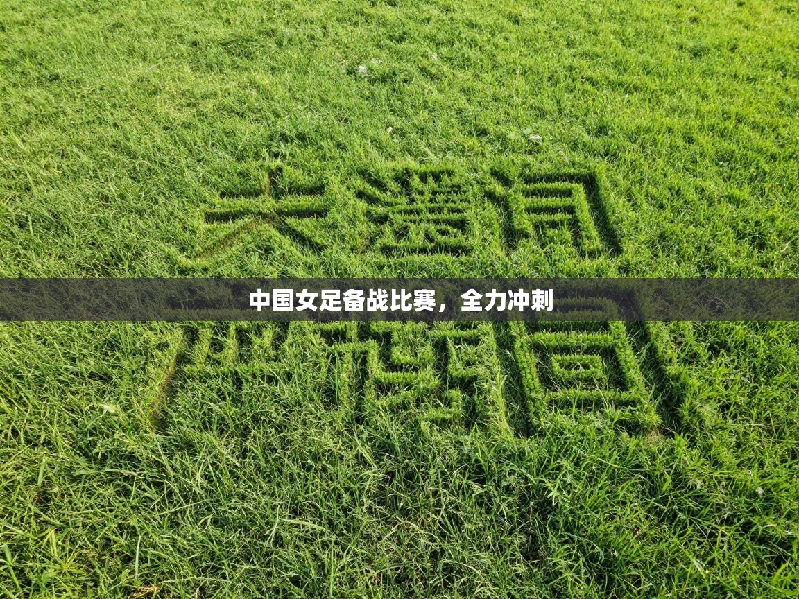 中国女足备战比赛，全力冲刺  第1张