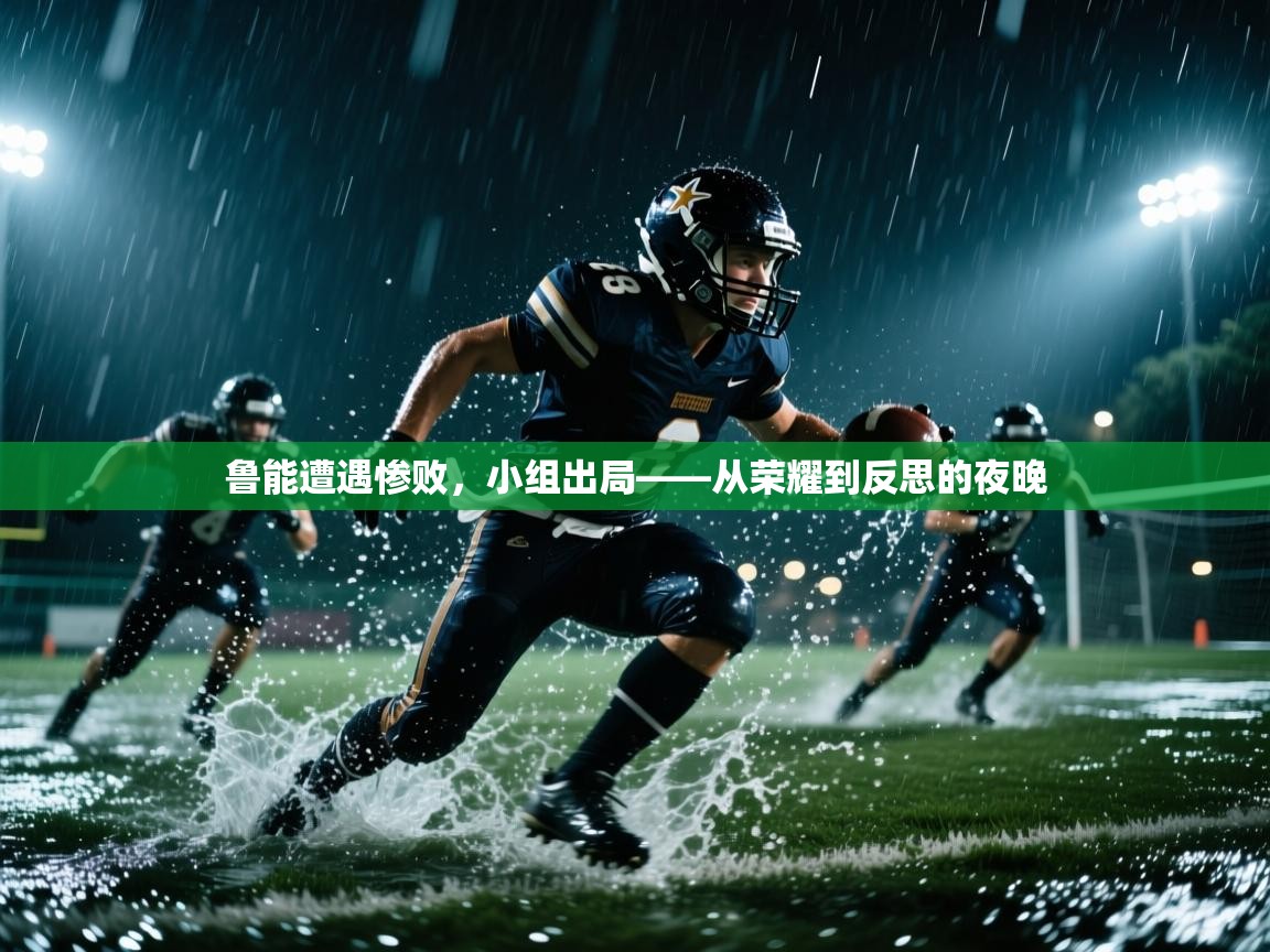 鲁能遭遇惨败,小组出局——从荣耀到反思的夜晚 第2张