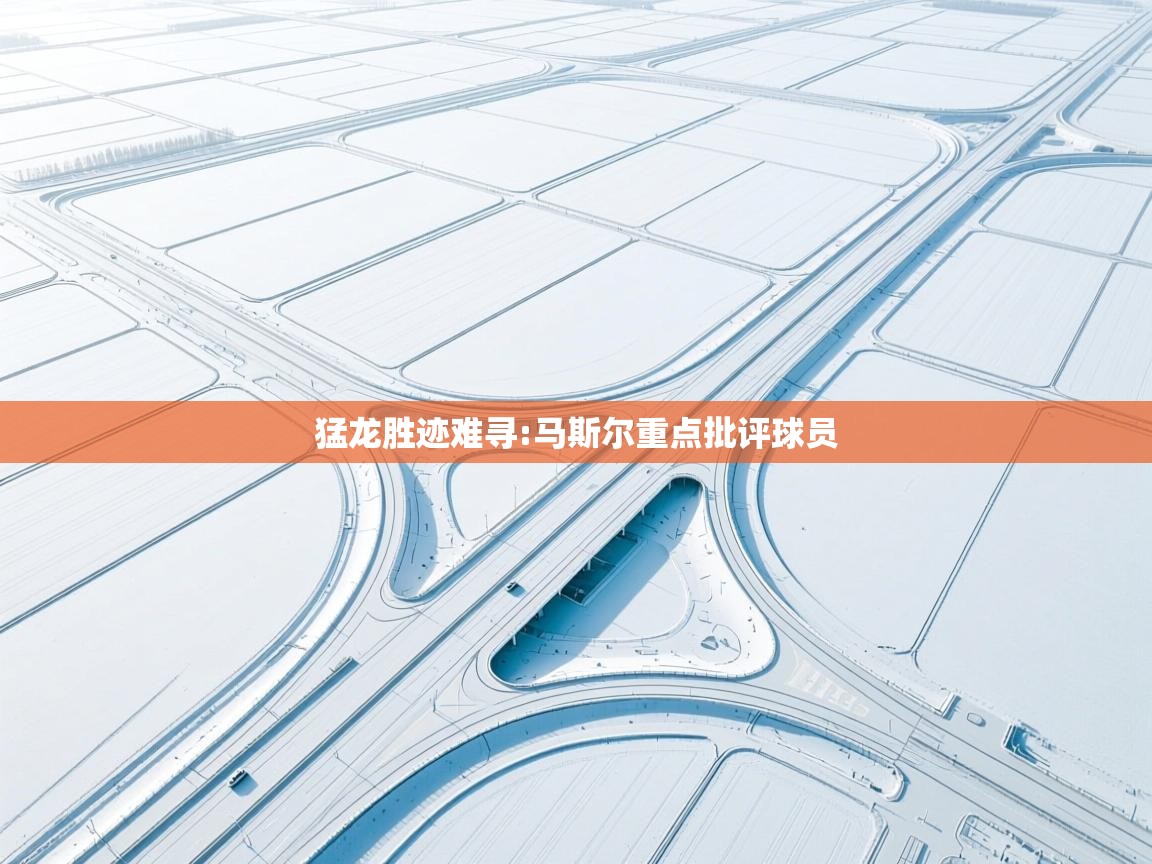 猛龙胜迹难寻:马斯尔重点批评球员  第1张