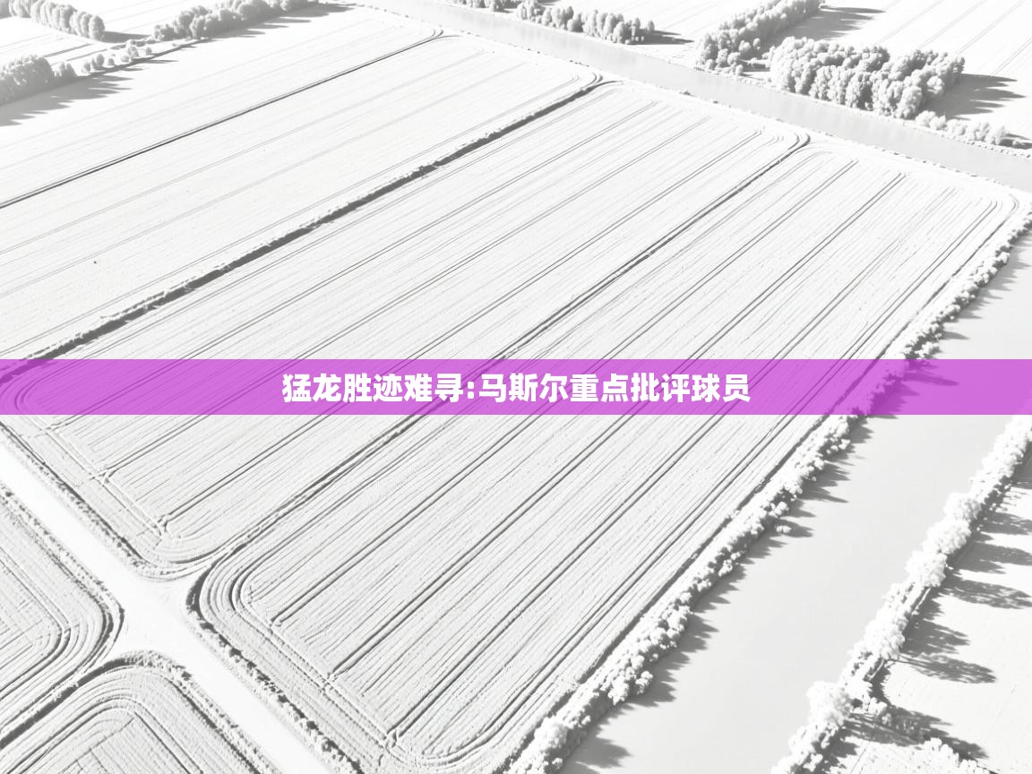 猛龙胜迹难寻:马斯尔重点批评球员  第2张