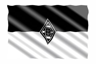 沃尔夫斯堡客场保级成功,锁定提前保级资格!,沃尔夫斯堡ds 第3张 沃尔夫斯堡客场保级成功,锁定提前保级资格!,沃尔夫斯堡ds 第3张